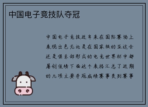 中国电子竞技队夺冠